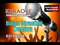 BULAN DIRANTING CEMARA - ELVY SUKAESIH (KARAOKE)