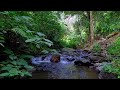 beautiful river water flow for calmer sleep meditation yoga spaa studying