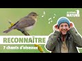 7 chants d'oiseaux faciles à reconnaître (No 376)