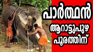 പാർത്ഥൻ ആറാട്ടുപുഴ പൂരത്തിന് വന്നപ്പോൾ I Parthan,  KERALA ELEPHANT