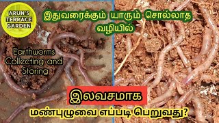 புது விதமான முறையில் மண்புழு சேகரிப்பு மற்றும் சேமிப்பு, Earthworm collecting and storing