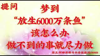 卢台长开示：梦到“放生6000万条鱼”，该怎么办；做不到的事就尽力做荷兰・阿姆斯特丹世界佛友见面会提问和图腾190909