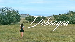 Exploring Dobrogea | (Romania's Danube Delta and More!)