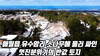 제주도 부동산 경매, 애월읍 유수암리 소나무에 둘러 싸인 멋진 분위기의 반값 토지 경매, 제주도부동산, 제주도토지, 제주도급매물