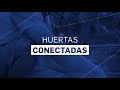 Proyecto ganador Hackatón | Huertas Conectadas