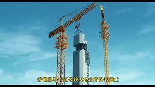 The biggest tower crane in world W12000-450 made by ZOOMLION factory.