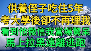 供養侄子吃住5年，考大學後卻不再理我，看到他微信我當場驚呆，馬上拉黑遠離逃跑 | 柳梦微语