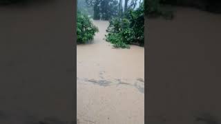 Terpaksa meredah banjir lumpur menyelamatkan diri di Labak (15/9/21)