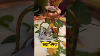 Rudrabhishek at home#rudrabhishek #pradeepmishrajikeupay #rudri #kawaryatra #shrishivaynamastubhyam