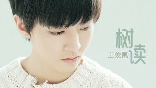 【TFBOYS王俊凯】《树读》歌词版（繁體） 原创单曲首发 【KarRoy凯源频道】