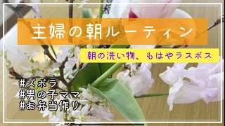 【主婦の朝ルーティン】子どものお弁当作り/男の子ママ/ズボラパート主婦