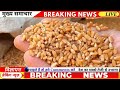 09 फरवरी 2025 गेहूँ का भाव गेहूँ के भाव में तूफानी तेजी देखें भाव gehu ka bhav wheat rate today