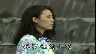 13~水仙~伴唱~歌曲甲