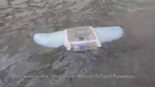 A manta bot in action
