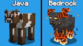 Missing Features Of Minecraft Java (Hindi)