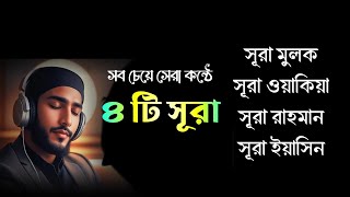 সবচেয়ে সেরা কন্ঠে ৪ টি সূরা, সূরা মুলক,সূরা ওয়াকিয়া,সূরা রাহমান,সূরা ইয়াসিন তেলাওয়াত