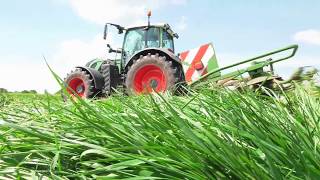 Erster Schnitt,  Fendt Trio