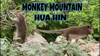 WAT KHAO TAKIAB MONKEY MOUNTAIN, HUAHIN | MJIEs TV