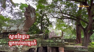 ស្រស់ស្អាត នៅជិតបង្កើយ តែគ្មានអ្នកចាប់អារម្មណ៍ \