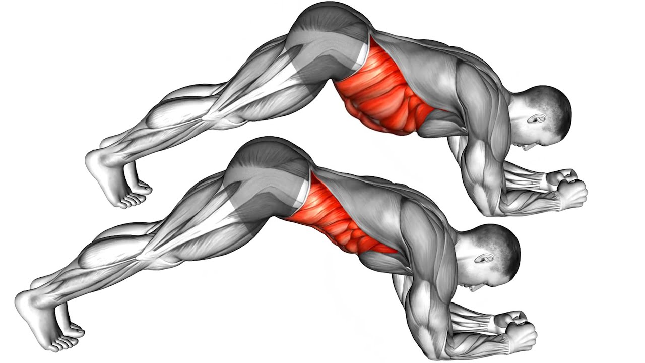 Best Abs Workout At Home Without Equipment Youtube