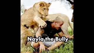 Nayla The Bully|| Best Of Dean Schneider