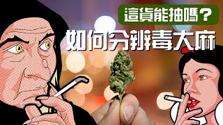 手把手教你買大麻 EP2 如何分辨毒大麻，要抽就抽最天然的，四個步驟教你避開毒大麻