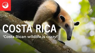 Discover Costa Rica’s natural wonders