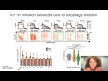 combined inhibition of the ras pathway and autophagy as a treatment approach for pancreatic cancer