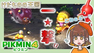 【ピクミン4】けだものの王国の攻略法！！各階のチャッピーの倒し方を解説します！（調査率100%）