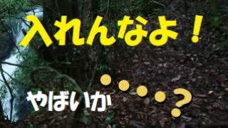 鹿児島弁オヤジの遊び！沢の様子を見にきました！昨夜、大雨だったけど、、