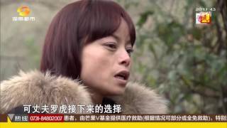 寻情记20160112期：苦尽甘来婚姻无爱 是坚持还是放弃 苦尽甘来婚姻无爱 坚持还是放弃超清版