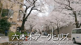 4K 【六本木アークヒルズ】東京お花見ドライブ －TOKYO Cherry Blossoms Roppongi ARK Hills