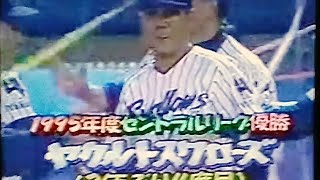 1995ヤクルトスワローズ　ブロスVS読売ジャイアンツ　神宮球場　ヤクルトリーグ優勝　川相昌弘　松井秀喜