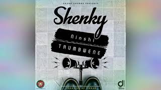 Shenky Shugah- Ninshi Taumbwene(Officialaudio)