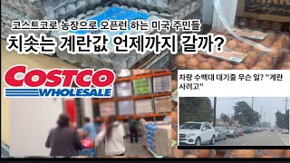 계란 한알에 $1 실화냐? 미국 계란 대란으로 Costco 오픈런 하는 웃픈 현실에 서민들은 한숨만 / California Vlog