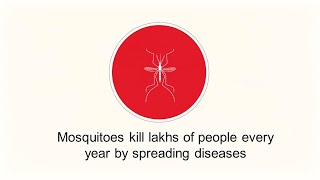 Prevent mosquito breeding to keep Dengue away | National Dengue Day - 16 May