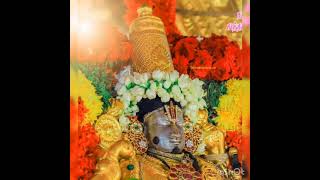 thirukoshtiyur sri sowmya narayana perumal