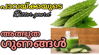 #പാവയ്ക്കയുടെ ഗുണങ്ങൾ #bitter gourd benefits Malayalam