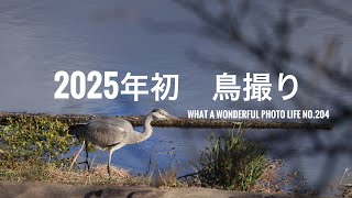 2025年初　鳥撮り