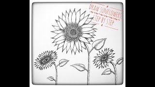 Draw Sunflowers step by step. Any one can draw. วาดรูปดอกทานตะวันตามขั้นตอนง่ายๆ ใครๆก็ทำได้