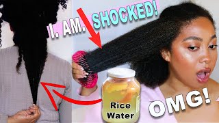 OVERNIGHT RICE WATER FOR EXTREME HAIR GROWTH ! I Fermented RICE WATER for 6 WEEKS AND THIS HAPPENED