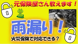 雨漏りは火災保険が適用できるか？#45【元保険屋さんが教える】損害保険