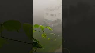 ☁️படத்துல வர்ற மாதிரி பனிமூட்டமா இருக்கு🤪😜#fog#funnydialogue#shortsvideo