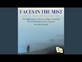 Faces in the Mist: II. Vanished