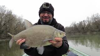 Spin Fishing with Gábor Szalai - Vlog 50: Spin Fishing for Common Bream