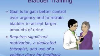 An Introduction to Overactive Bladder (OAB)