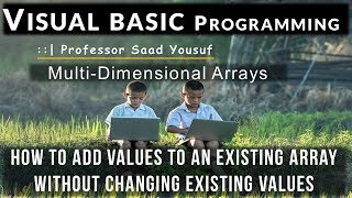 Visual Basic - Add values to an existing Multi Dimensional Array
