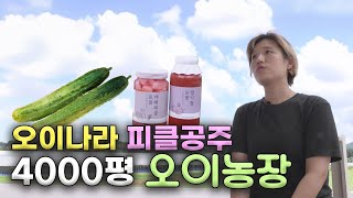 청년농업인을 만나다 - #4. 오이나라 피클공주의 4000평 오이농장🥒💚