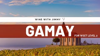 Gamay Noir Deep Dive: The Heart of Beaujolais | WSET Level 2 Prep