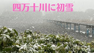 四万十川にぼたん雪舞う！沈下橋も赤鉄橋も薄化粧